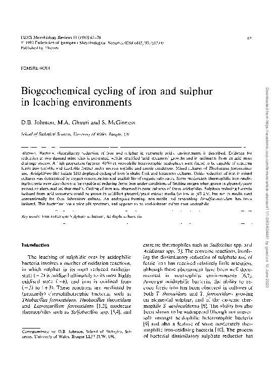(PDF) Biogeochemical cycling of iron and sulphur in leaching environments