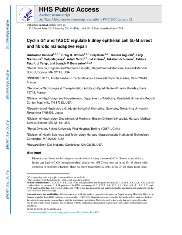 (PDF) Cyclin G1 and TASCC regulate kidney epithelial cell G 2 -M arrest ...