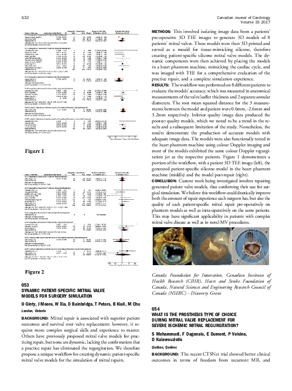 (PDF) Dynamic Patient-Specific Mitral Valve Models for Surgery Simulation