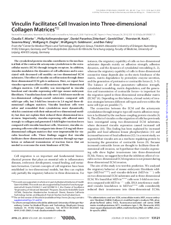 (PDF) Vinculin Facilitates Cell Invasion into Three-dimensional