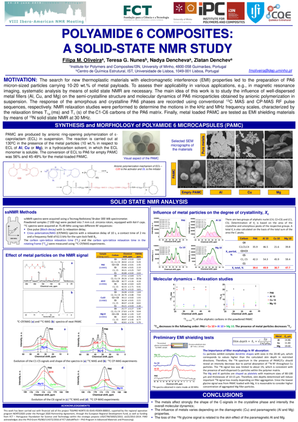 (PDF) Polyamide 6 composites: a solid-state NMR study