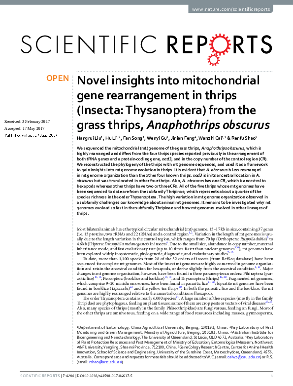 (PDF) Novel insights into mitochondrial gene rearrangement in thrips ...