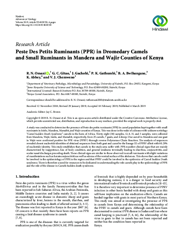 (PDF) Peste Des Petits Ruminants (PPR) in Dromedary Camels and Small ...