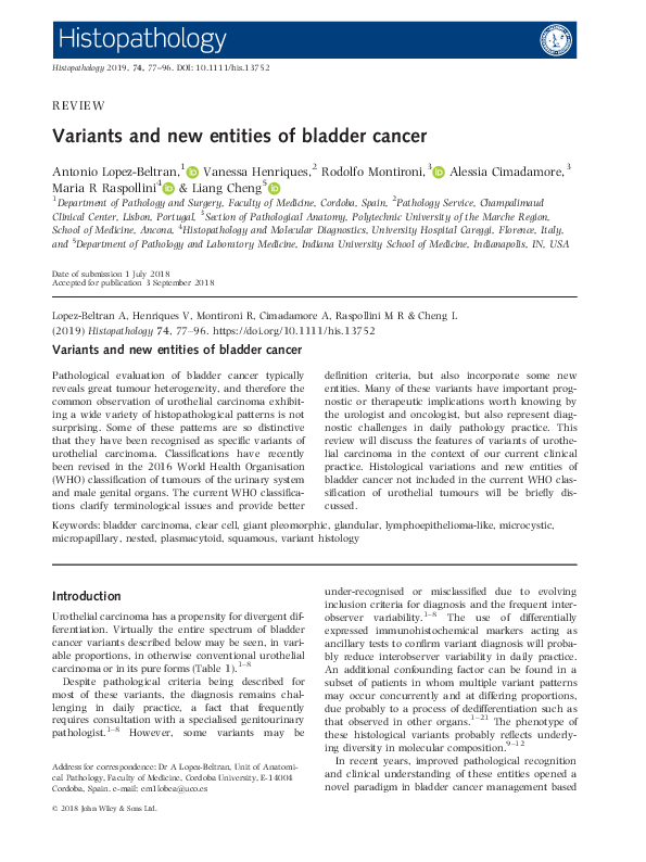 (PDF) Variants and new entities of bladder cancer