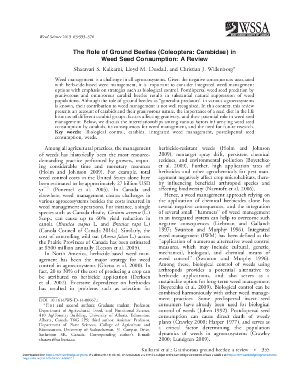 (PDF) The Role of Ground Beetles (Coleoptera: Carabidae) in Weed Seed ...