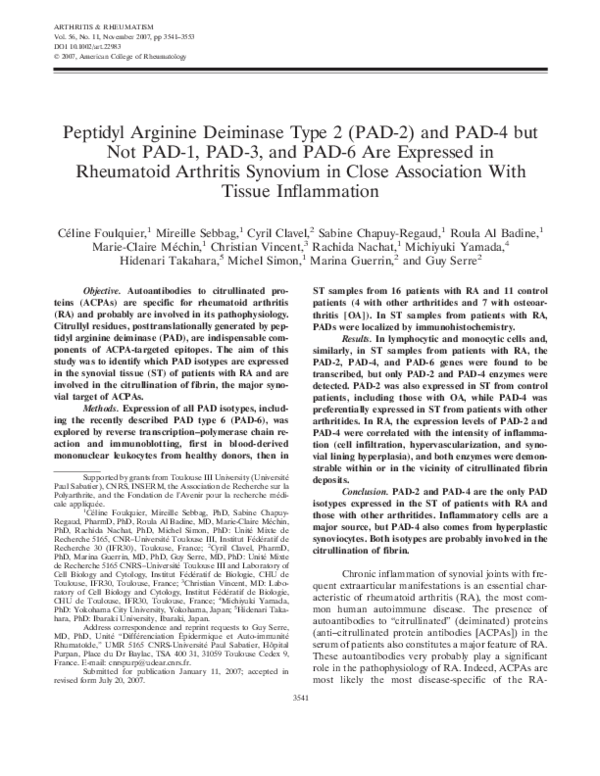 (PDF) Peptidyl arginine deiminase type 2 (PAD‐2) and PAD‐4 but not PAD ...