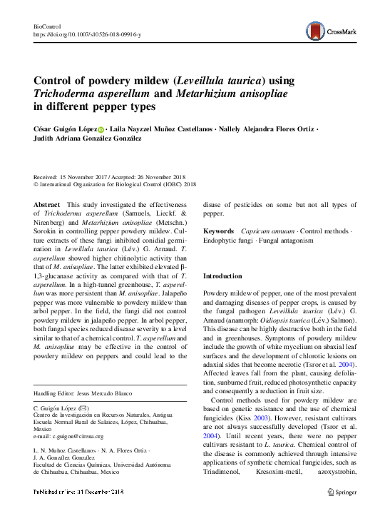 (PDF) Control of powdery mildew (Leveillula taurica) using Trichoderma ...