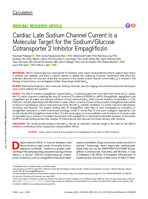 (PDF) Cardiac Late Sodium Channel Current Is a Molecular Target for the ...