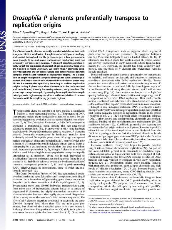 (PDF) Drosophila P elements preferentially transpose to replication origins