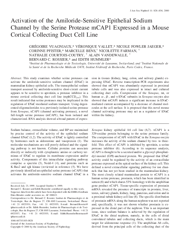 (PDF) Activation of the Amiloride-Sensitive Epithelial Sodium Channel ...