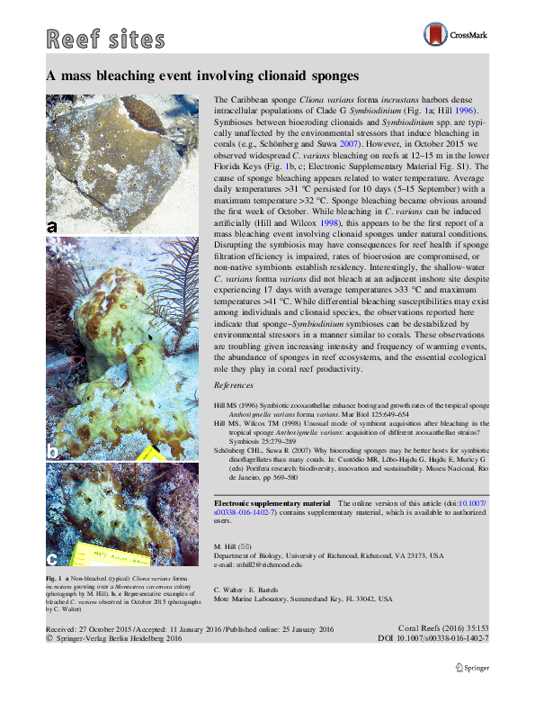 A mass bleaching event involving clionaid sponges