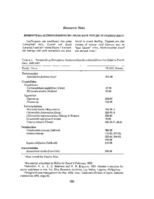 (PDF) Homoptera-Auchenorrhyncha from Rice Fields in Puerto Rico