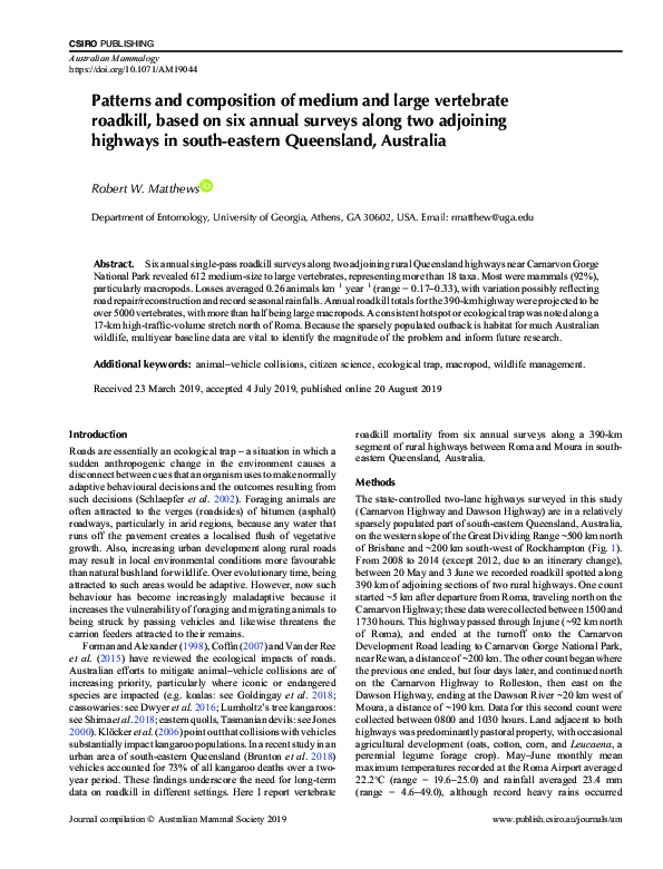 (PDF) Patterns and composition of medium and large vertebrate roadkill ...