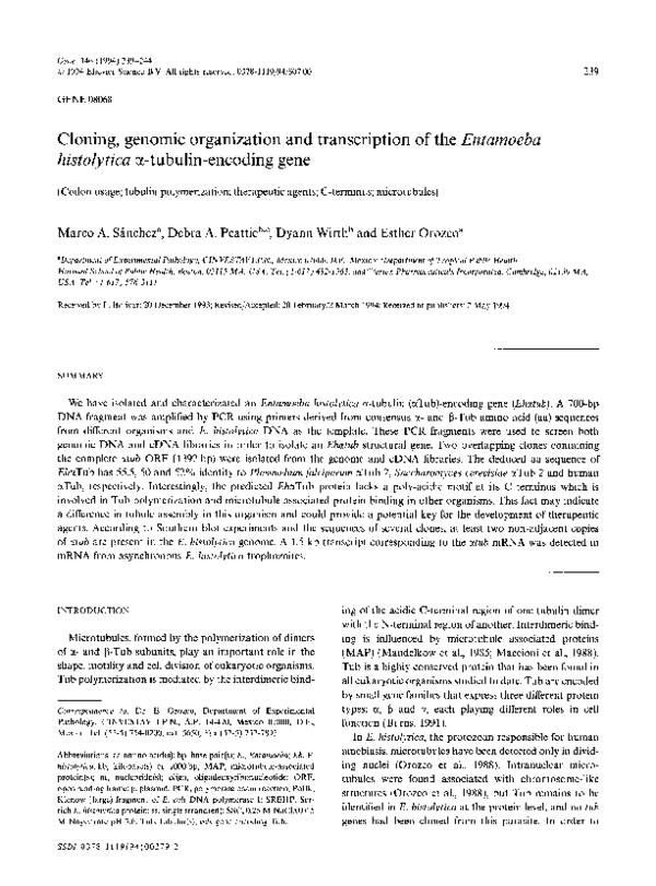 (PDF) Cloning, genomic organization and transcription of the Entamoeba ...