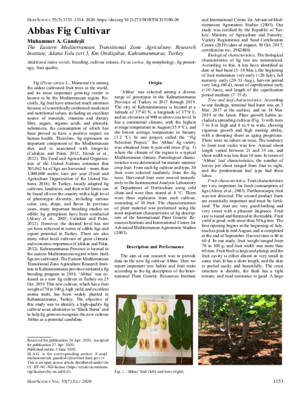 (PDF) Abbas Fig Cultivar