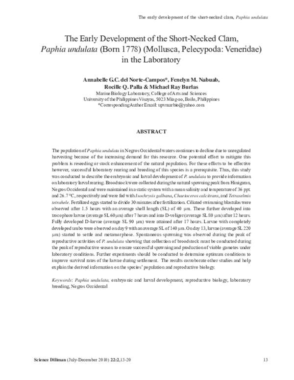 (PDF) Paphia undulata (Born 1778) (Mollusca, Pelecypoda: Veneridae) in ...