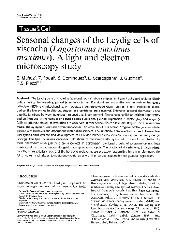 (PDF) Seasonal changes of the Leydig cells of viscacha (Lagostomus ...