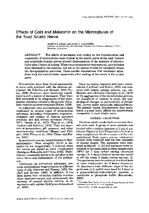 (PDF) Effects of cold and melatonin on the microtubules of the toad ...