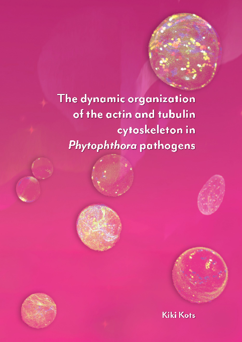 (PDF) The dynamic organization of the actin and tubulin cytoskeleton in ...