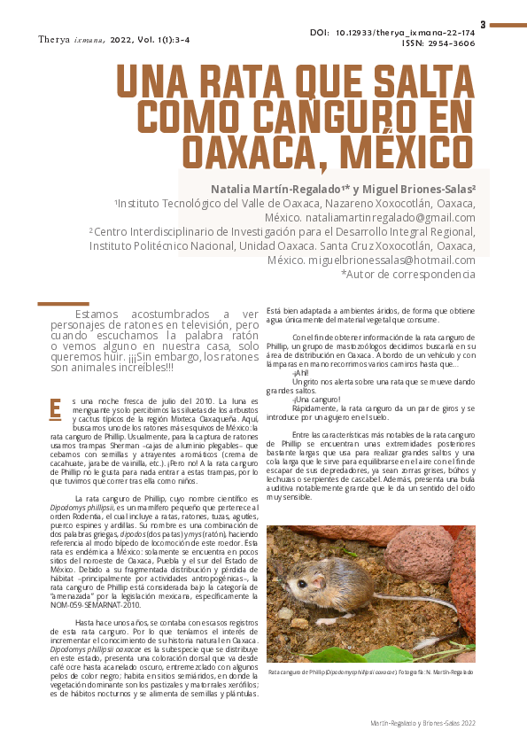 (PDF) Una rata que salta como canguro en Oaxaca, México