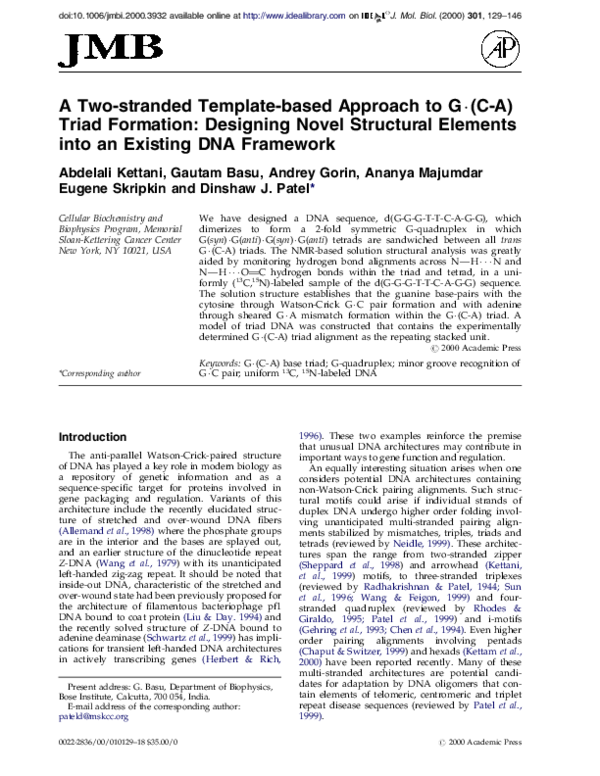 (PDF) A two-stranded template-based approach to G.(C-A) triad formation ...