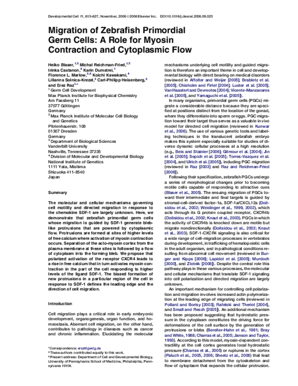 (PDF) Migration of Zebrafish Primordial Germ Cells: A Role for Myosin ...
