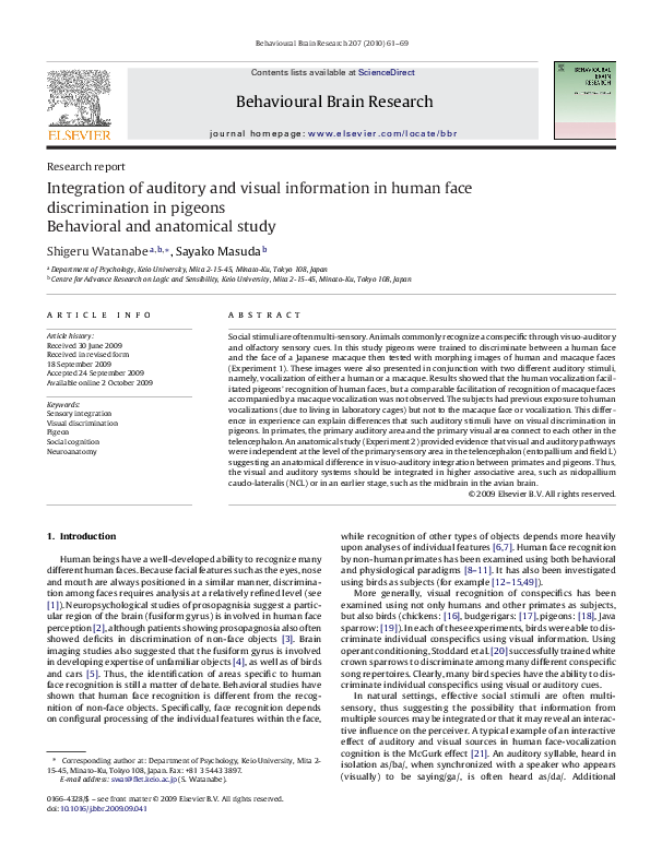 (PDF) Integration of auditory and visual information in human face ...
