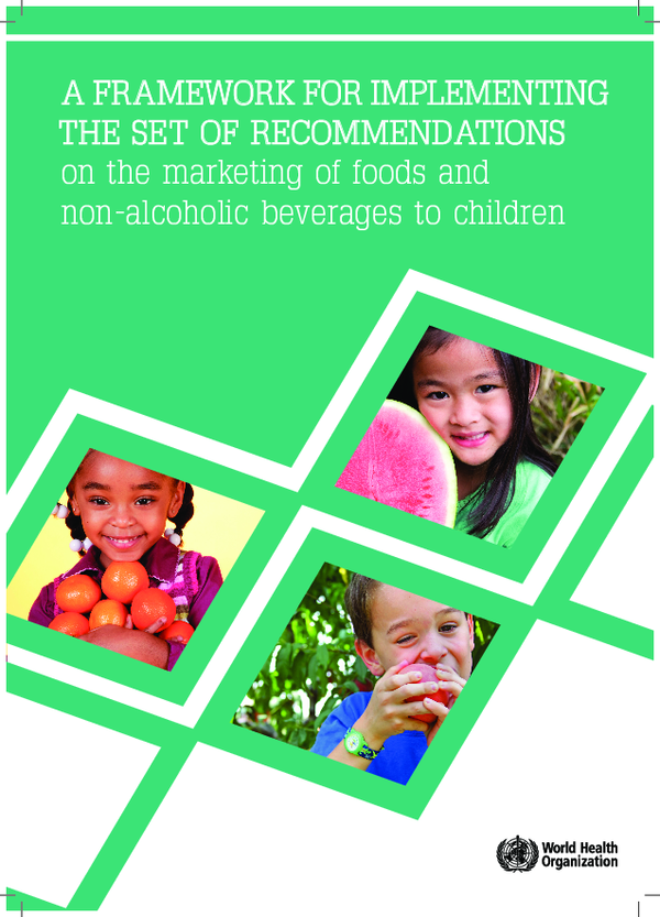 (PDF) A framework for implementing the set of recommendations on the ...