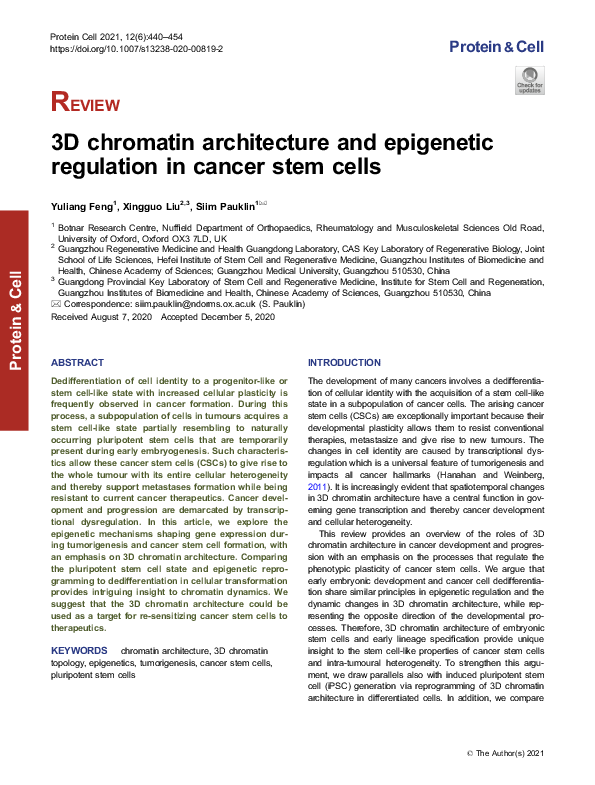 (PDF) 3D chromatin architecture and epigenetic regulation in cancer ...