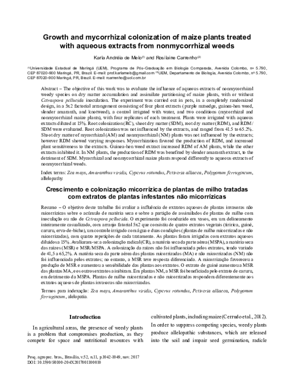 (PDF) Growth and mycorrhizal colonization of maize plants treated with ...