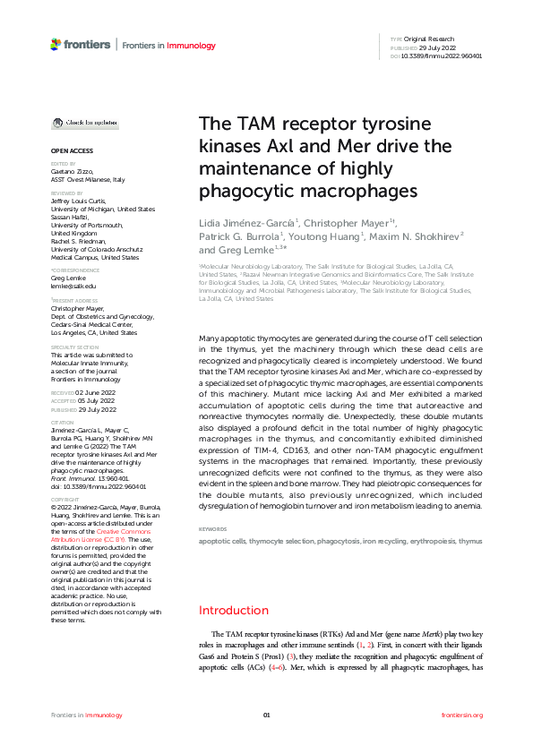 (PDF) The TAM receptor tyrosine kinases Axl and Mer drive the ...