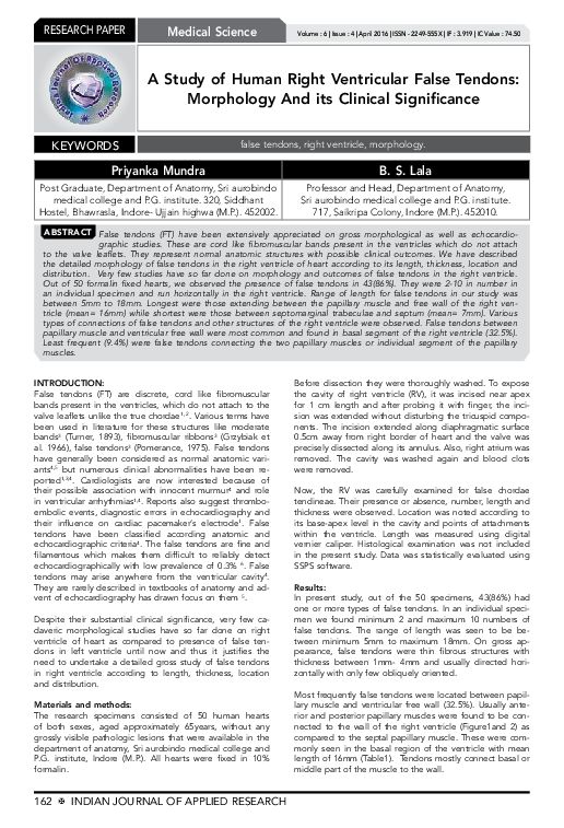 (PDF) A Study of Human Right Ventricular False Tendons: Morphology and ...
