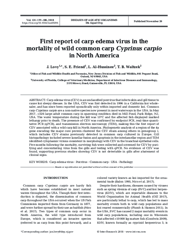 (PDF) First report of carp edema virus in the mortality of wild common ...