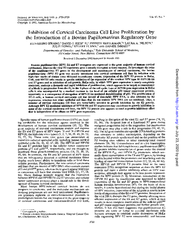 (PDF) Inhibition of cervical carcinoma cell line proliferation by the ...