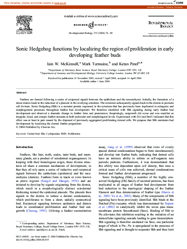 (PDF) Sonic Hedgehog functions by localizing the region of ...