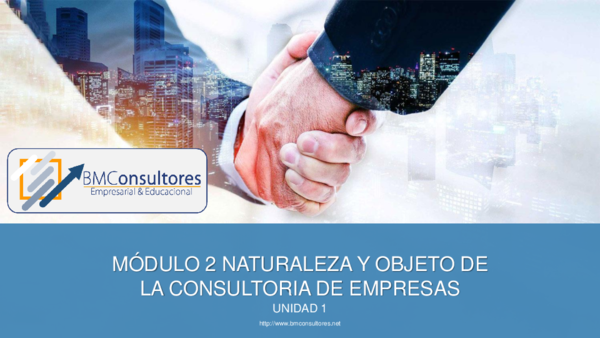 (PDF) La naturaleza y el objeto de la consultoría de empresas