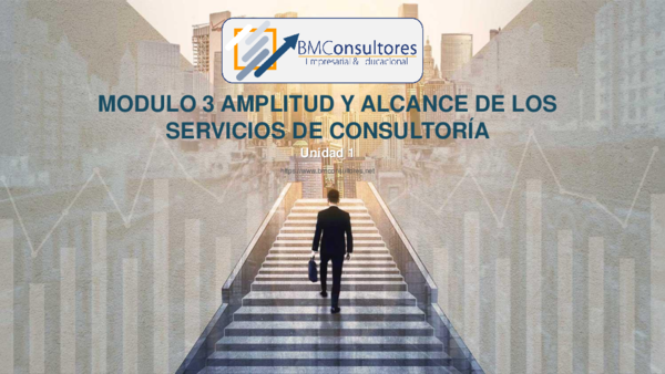 (PDF) La amplitud y el alcance de los servicios de consultoria de empresas