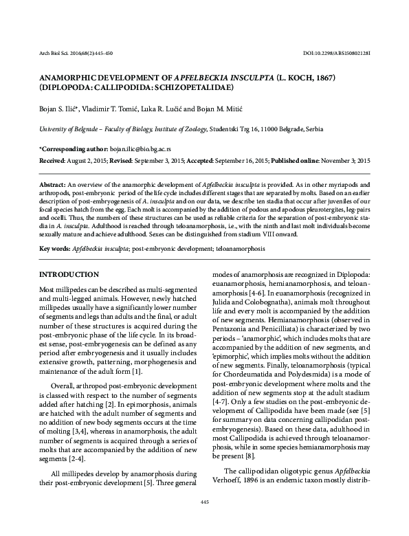 (PDF) Anamorphic development of Apfelbeckia insculpta (L. Koch, 1867 ...