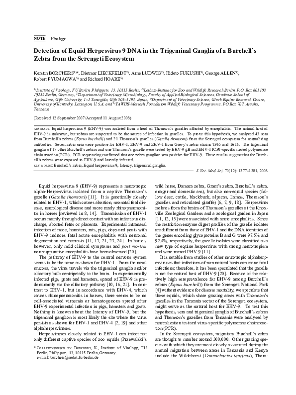 (PDF) Detection of Equid Herpesvirus 9 DNA in the Trigeminal Ganglia of ...