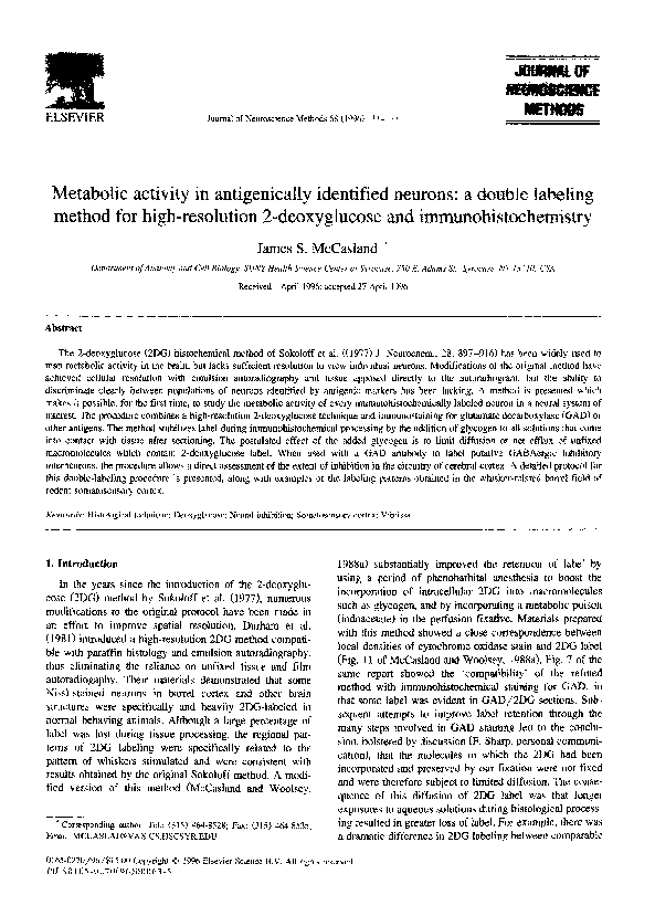 (PDF) Metabolic activity in antigenically identified neurons: a double ...