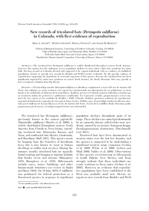 (PDF) New Records of Tricolored Bats (Perimyotis subflavus) in Colorado ...