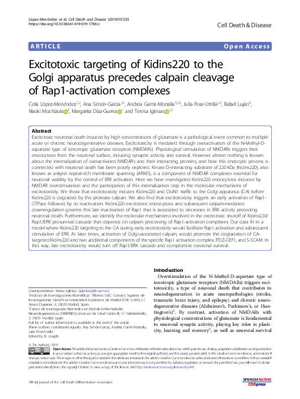 (PDF) Excitotoxic targeting of Kidins220 to the Golgi apparatus ...
