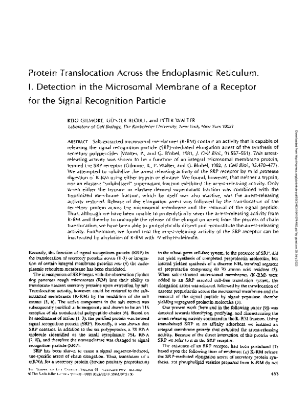 (PDF) Protein translocation across the endoplasmic reticulum. II ...