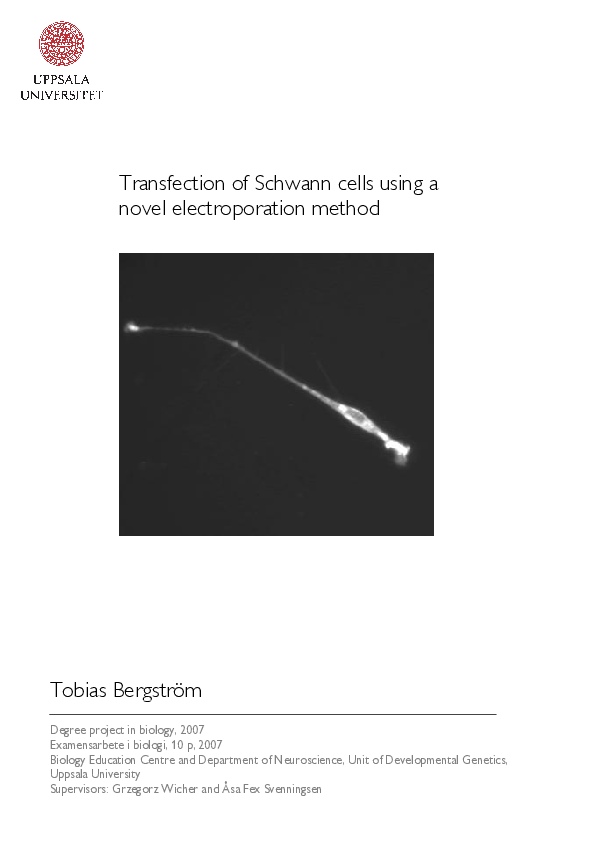 (PDF) Transfection of Schwann cells using a novel electroporation method