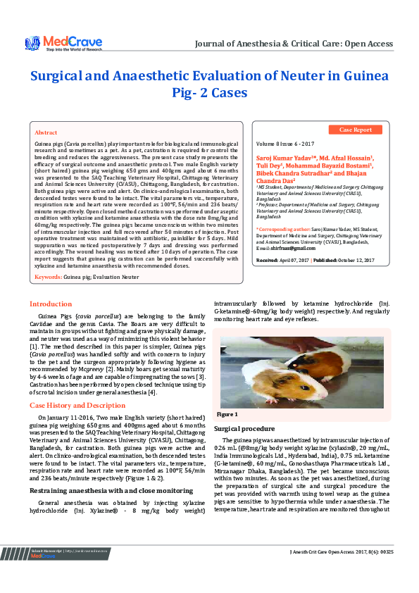 Image showcasing (PDF) Surgical and Anaesthetic Evaluation of Neuter in Guinea Pig- 2 Cases