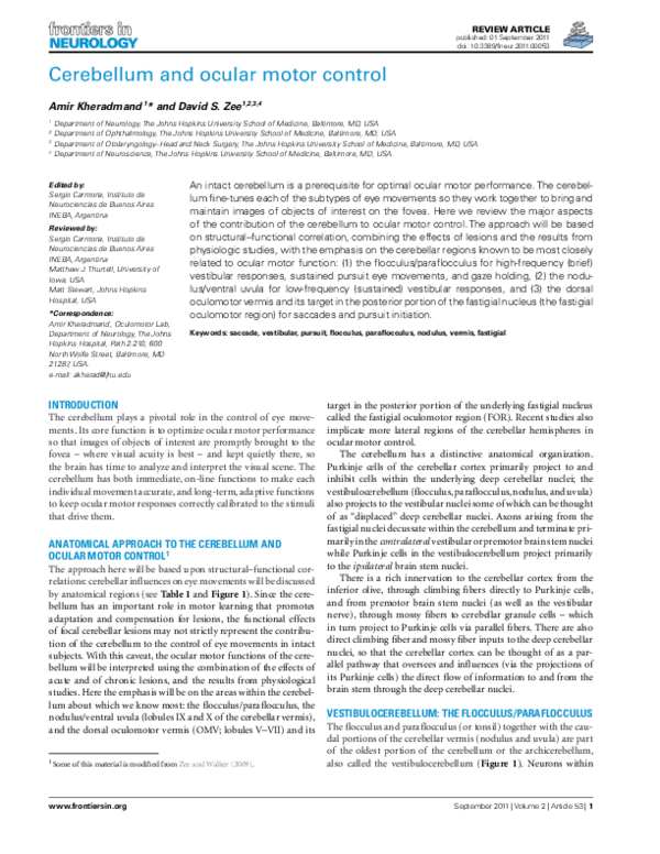 (PDF) Cerebellum and Ocular Motor Control