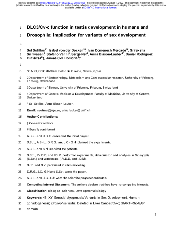 (PDF) DLC3/Cv-c function in testis development in humans and Drosophila ...
