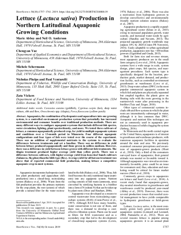 (PDF) Lettuce (Lactuca sativa) Production in Northern Latitudinal ...