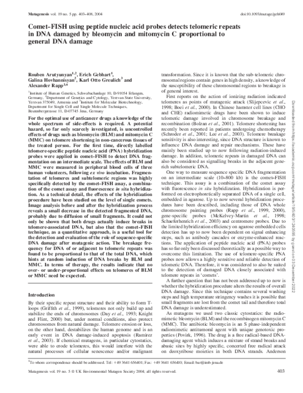 (PDF) Comet-FISH using peptide nucleic acid probes detects telomeric ...