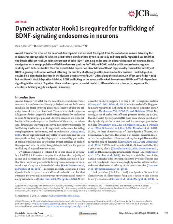 (PDF) Faculty of 1000 evaluation for Dynein activator Hook1 is required ...